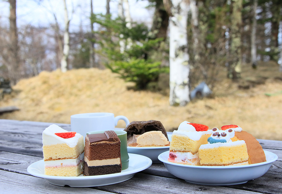 ガトーキングダム小海のウェルカムスイーツバイキングで取り分けたケーキ。ショートケーキ・チョコレートケーキ・シュークリーム・動物の顔のケーキが3皿に並び、背景は白樺の林